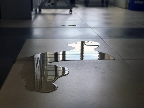 Best Water damage cleanup near me  in White Cloud, MI