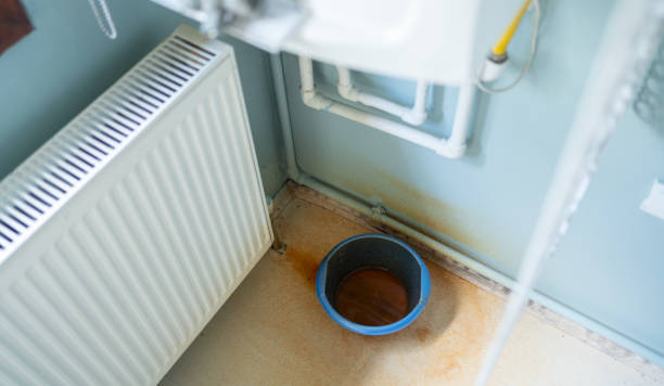 Best Basement water damage restoration  in White Cloud, MI