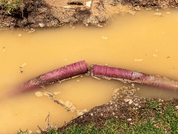 Best Flood restoration services  in White Cloud, MI